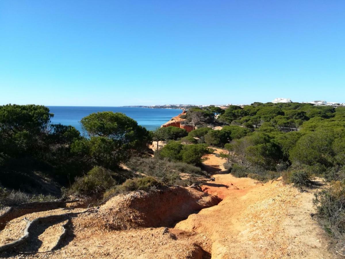 Algarve Friendly Apartment Албуфейра Экстерьер фото